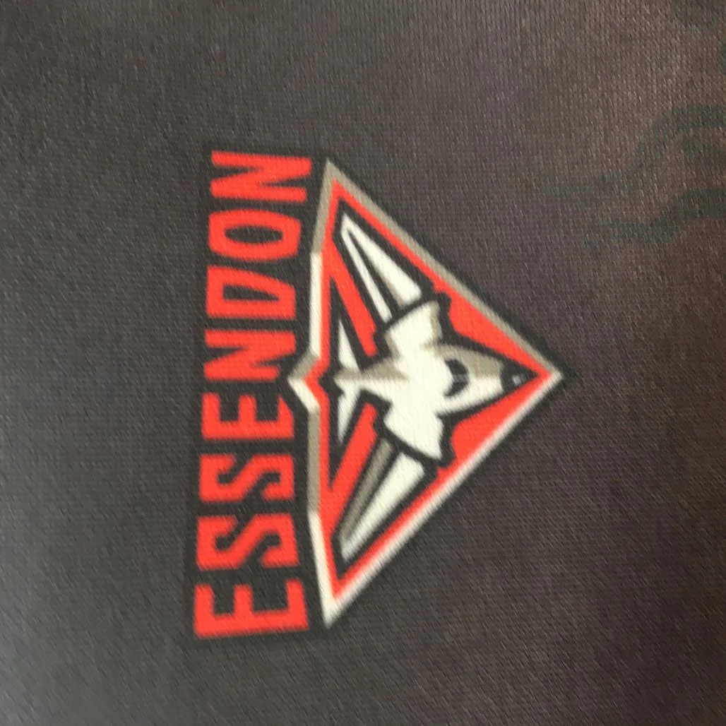 AFL Essendon Bombers Team Cartoon Graphic Black Hoodie Youth Size 10 NEW - Image 3