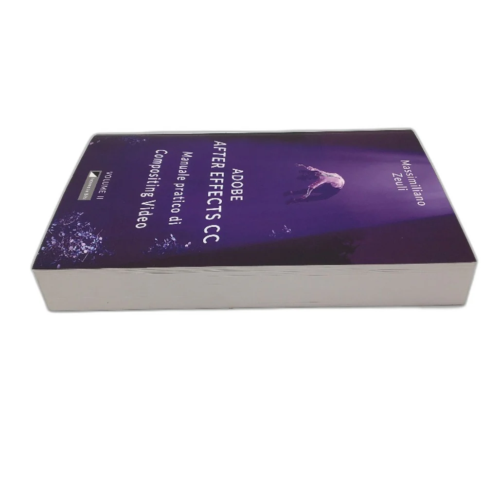 Adobe After Effects Compositing Video PaperBack Book By Massimiliano Zeuli NEW - Image 4