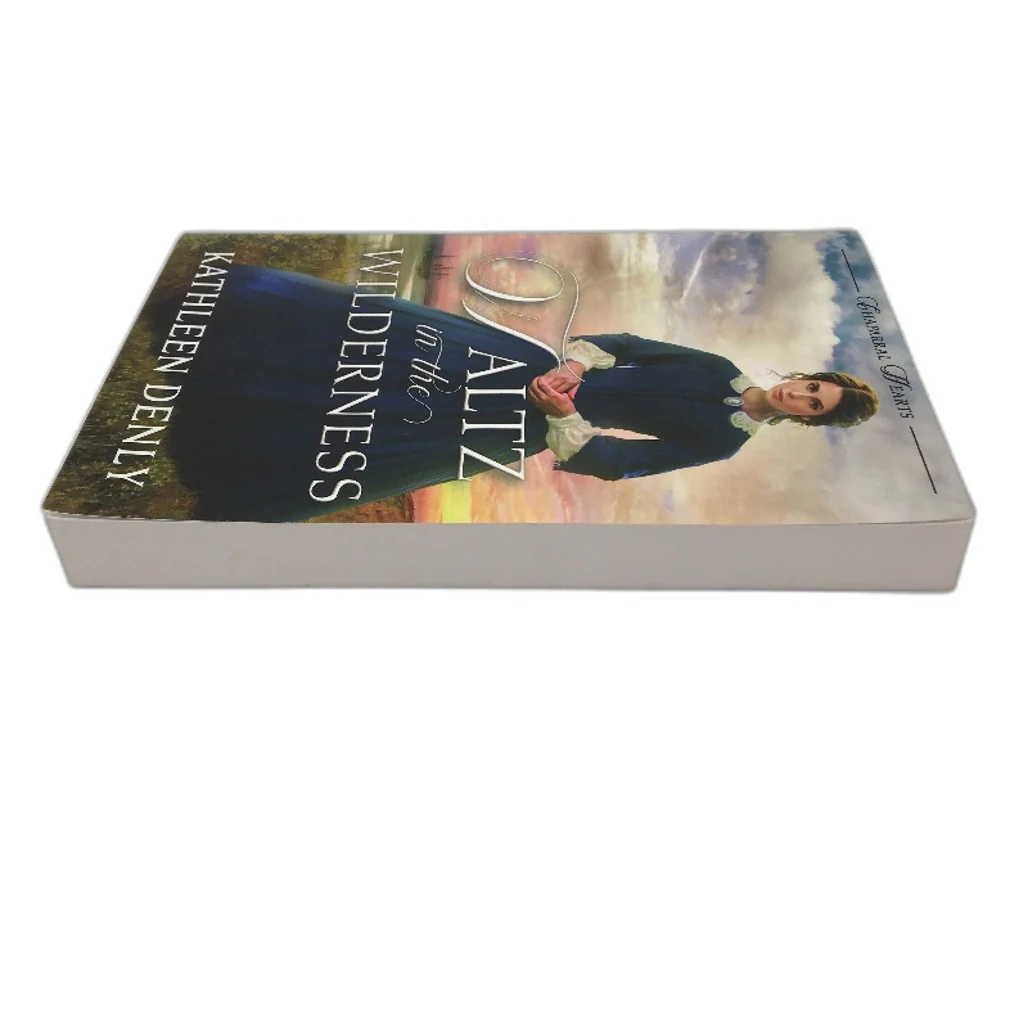 Waltz In The Wilderness Fiction Paperback Novel By Kathleen Denly NEW - Image 4