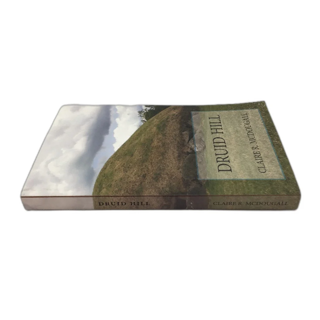 Druid Hill Sequel To Veil Of Time Timetravel Novel by Claire R McDougall NEW - Image 3