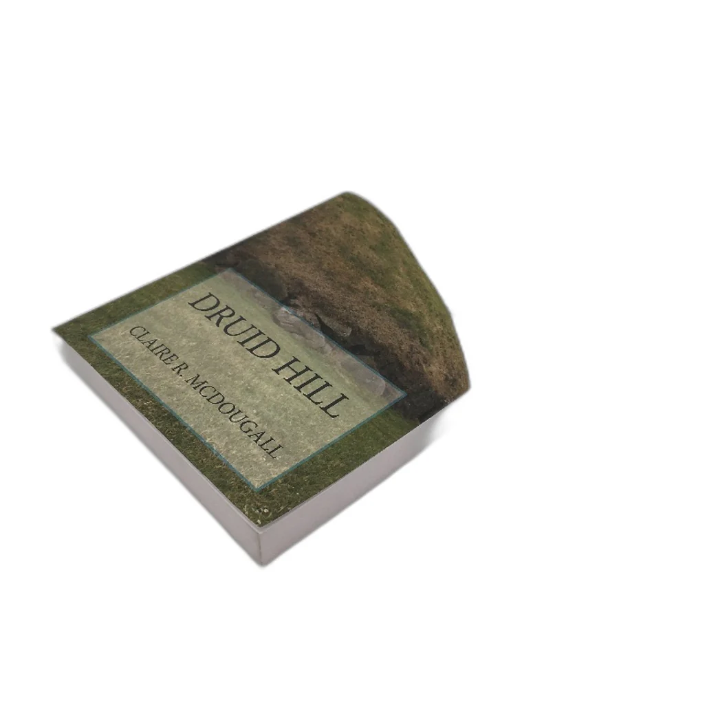 Druid Hill Sequel To Veil Of Time Timetravel Novel by Claire R McDougall NEW - Image 4