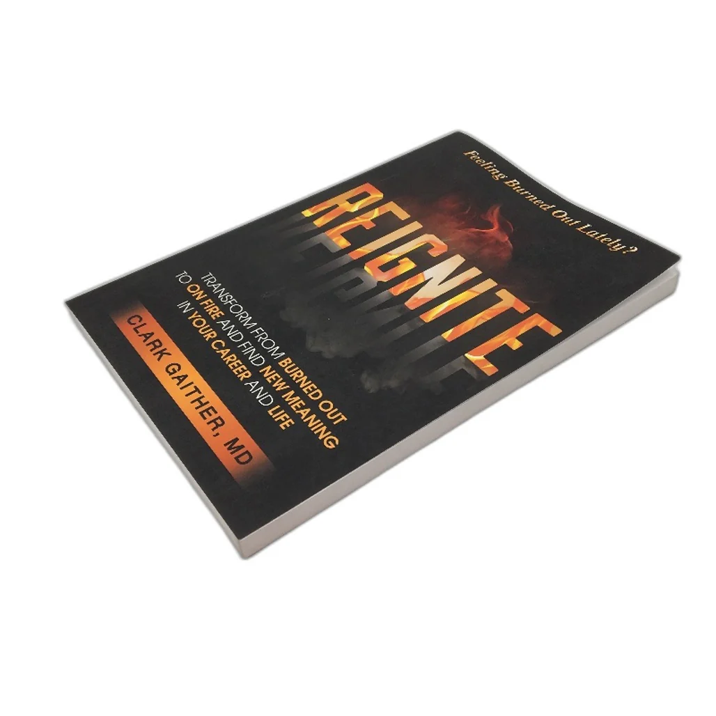 Reignite - Career & Life Meaning Self Help Book by Clark Gaither MD NEW - Image 4