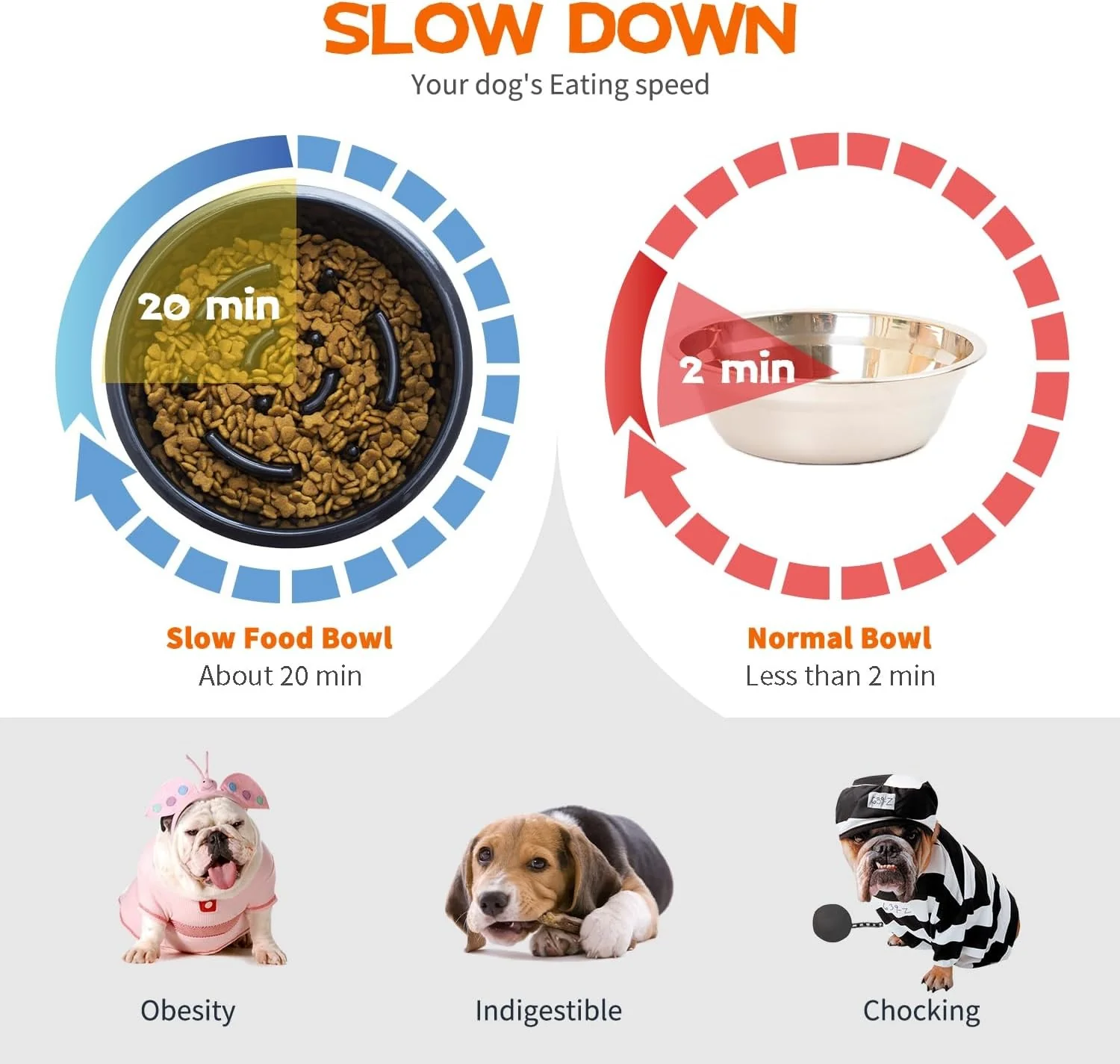 YY FOREYY 4-in-1 Adjustable Elevated Dog Bowls with Slow Feeder Online Australia - Image 8