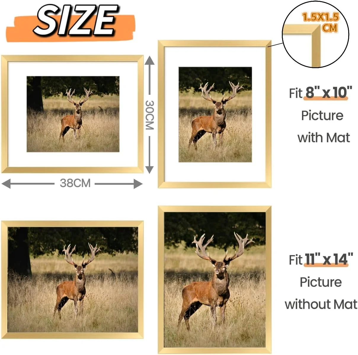 Gold 11x14 Inch Plexiglass Picture Frame Set of 5 for Wall Gallery Display NEW - Image 2
