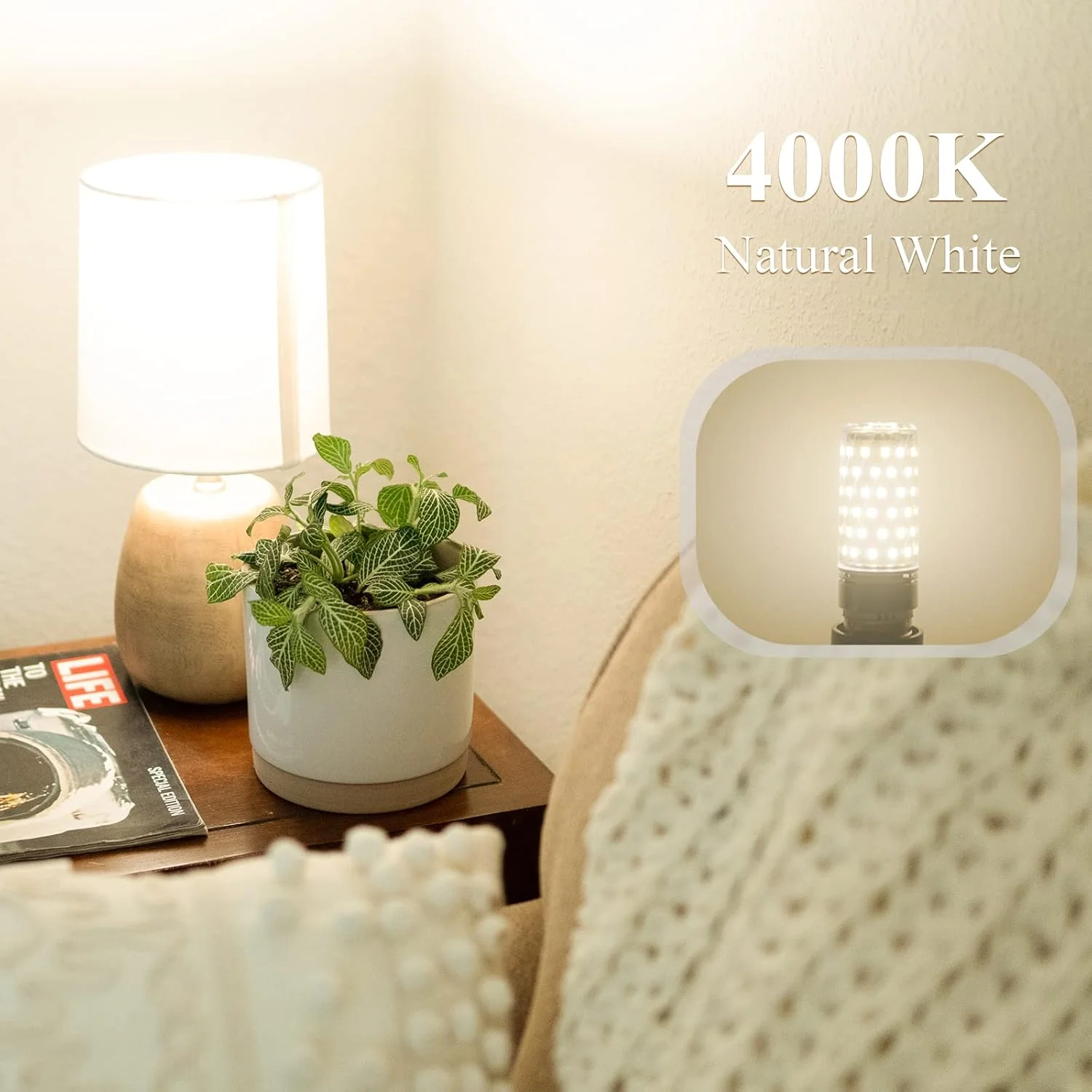 DiCUNO LED LED Bulbs Bulb 10W Small Edison Screw Natural White 4000K NEW - Image 4