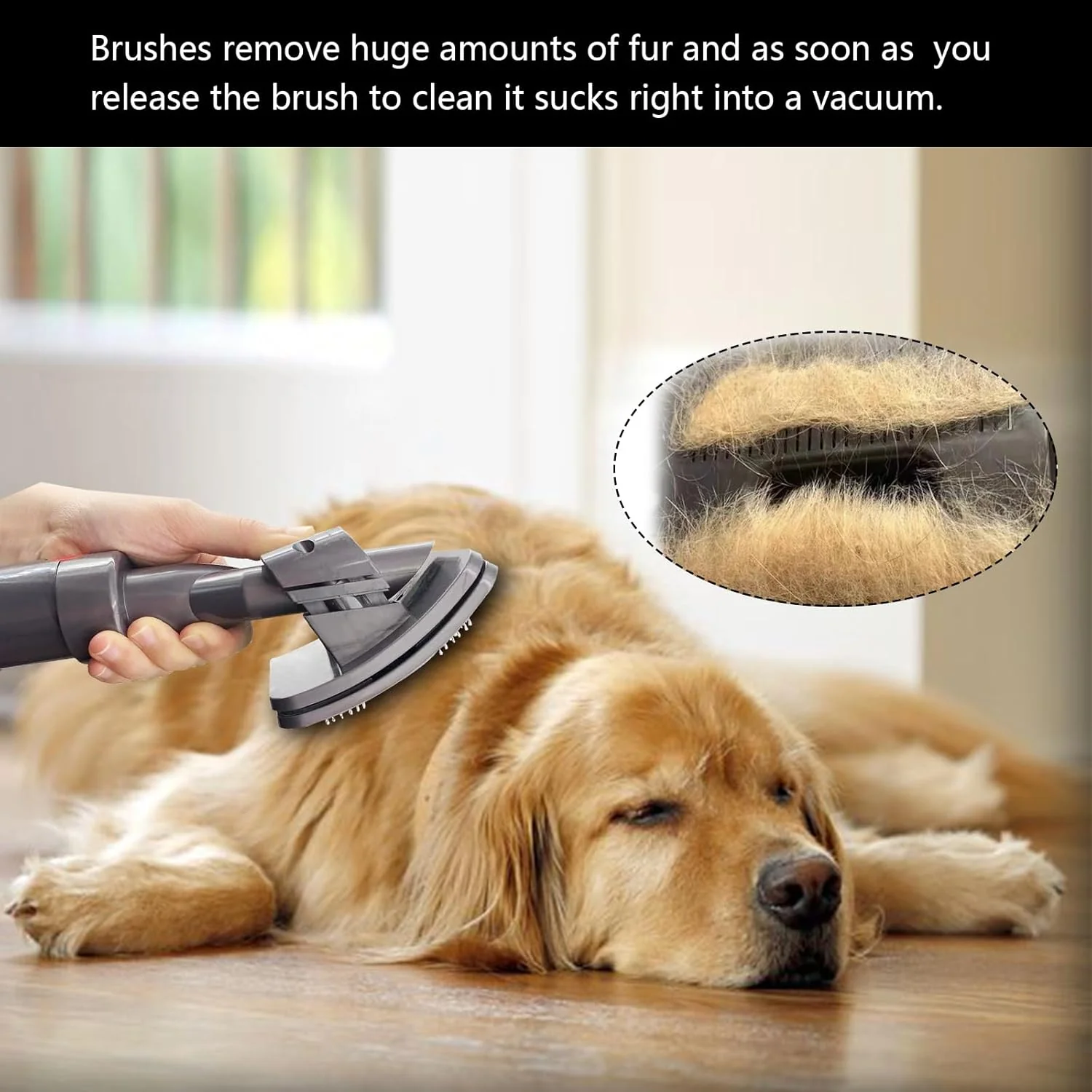 Brushes with Trigger Lock & 24in Extension Vacuum Hose for Pet Grooming DEMO - Image 5