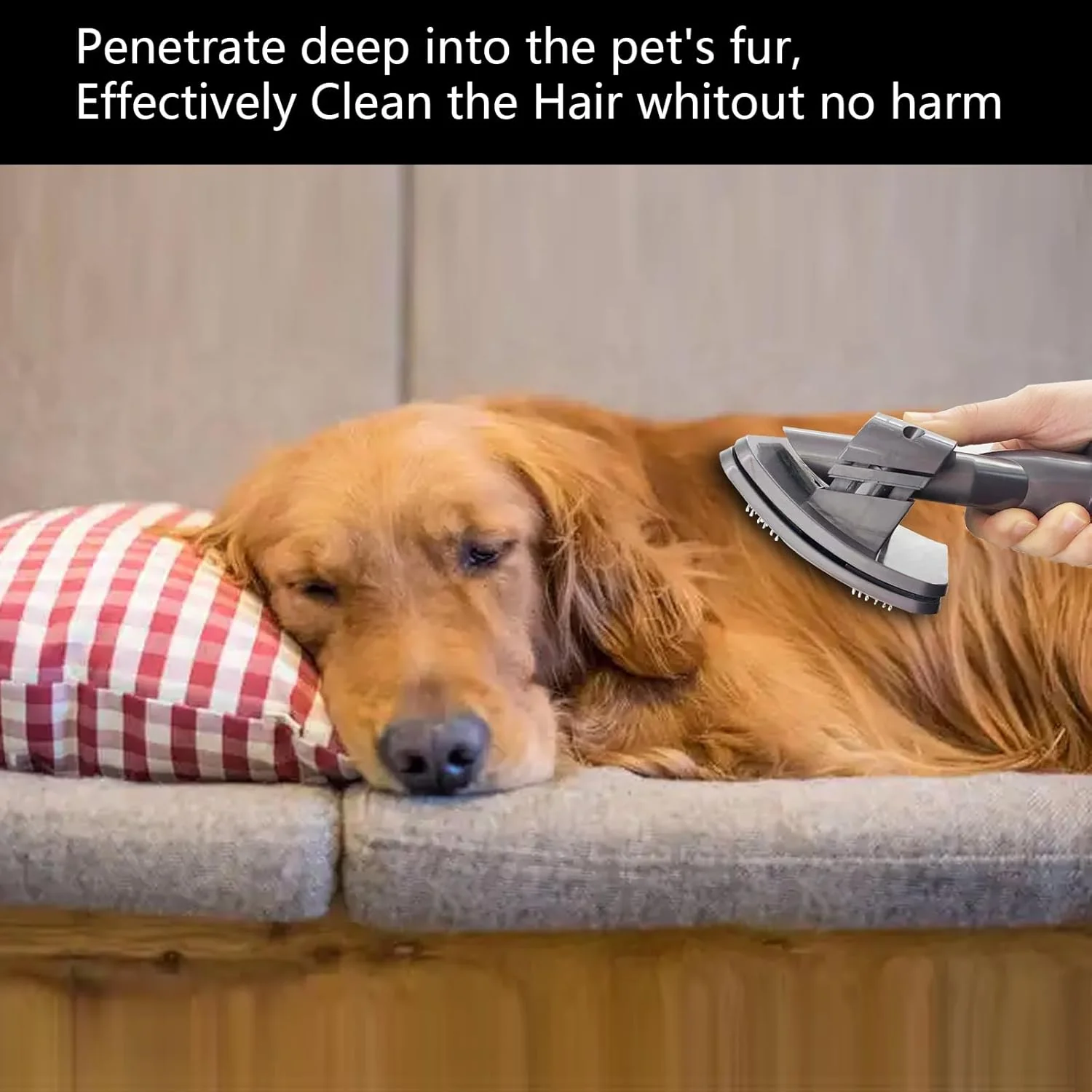 Brushes with Trigger Lock & 24in Extension Vacuum Hose for Pet Grooming DEMO - Image 6