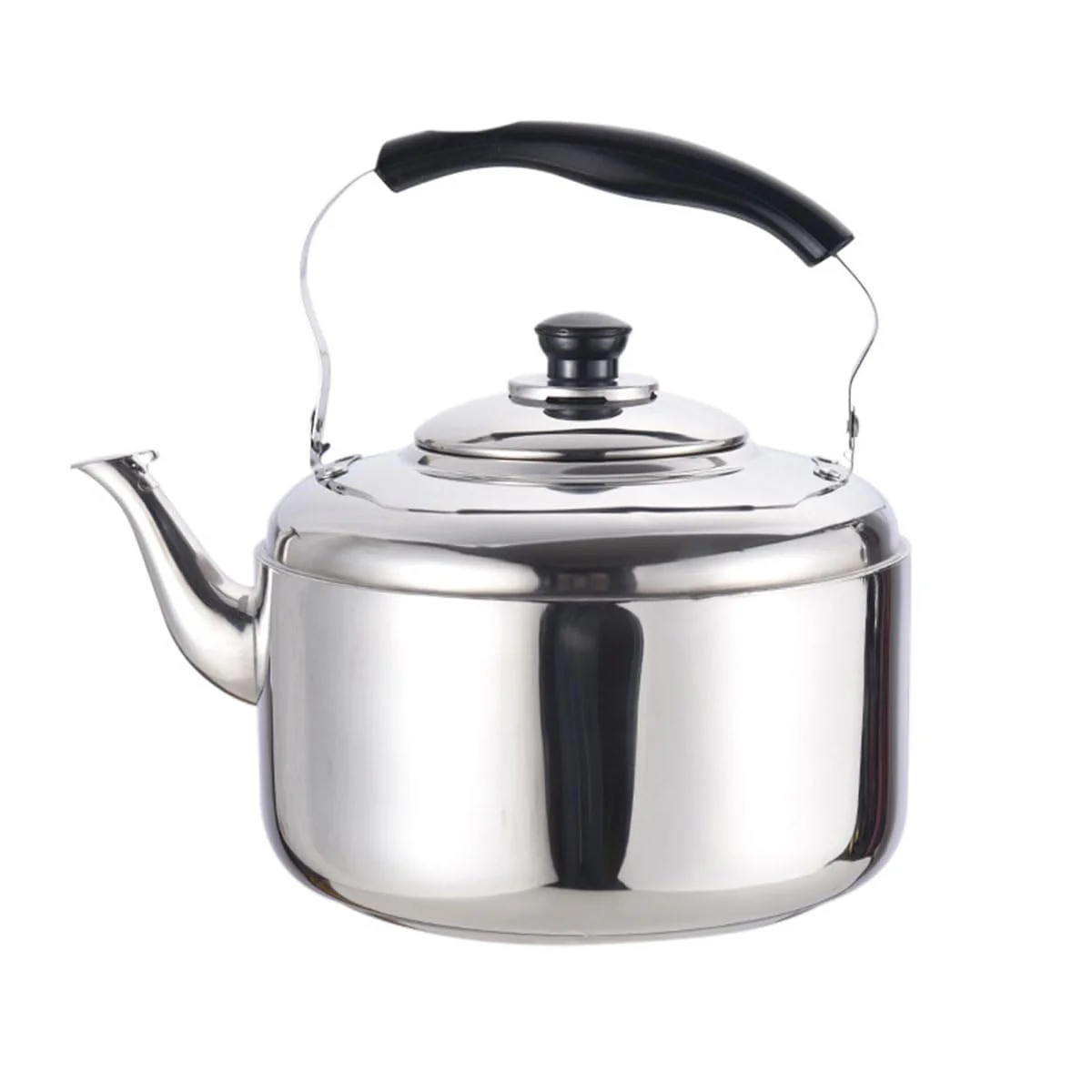 Stainless Steel Stovetop Kettle with Whistle and Ergonomic Handle, 5L DEMO