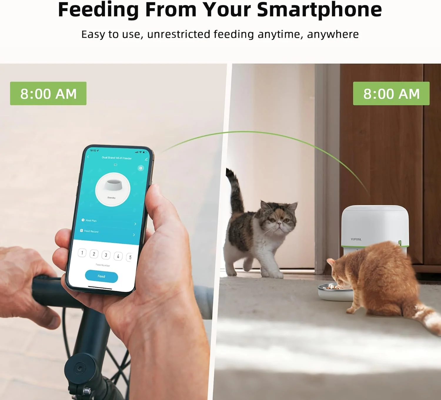 Yuposl 2L Automatic Pet Feeder with 5G WiFi App Control, White, 68oz DEMO - Image 4