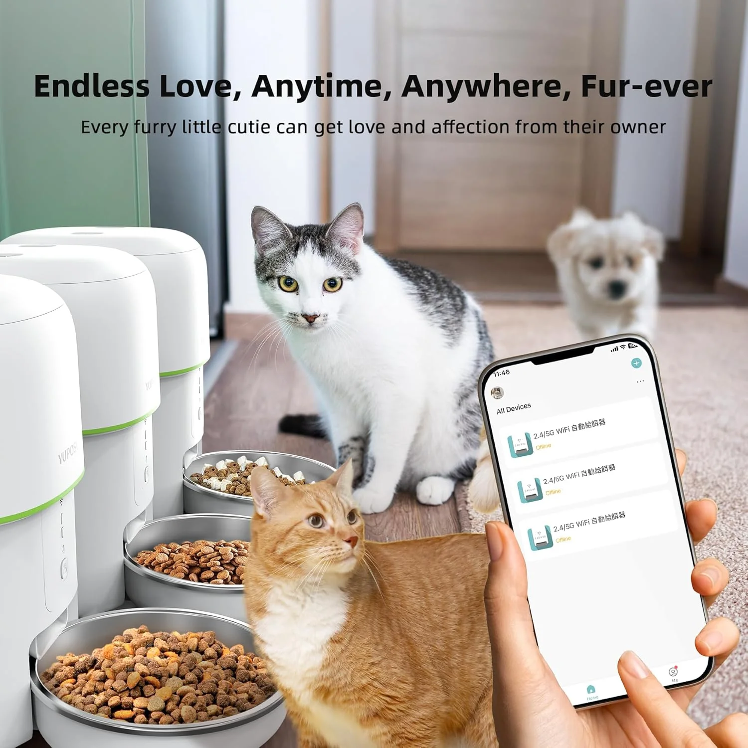 Yuposl 2L Automatic Pet Feeder with 5G WiFi App Control, White, 68oz DEMO - Image 5