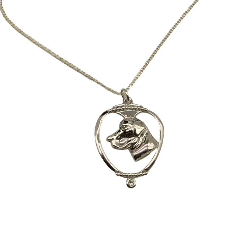Deva Australia Jewels Of Nature 18K Rhodium Silver Plate Labrador Cz Pendant NEW - Image 4