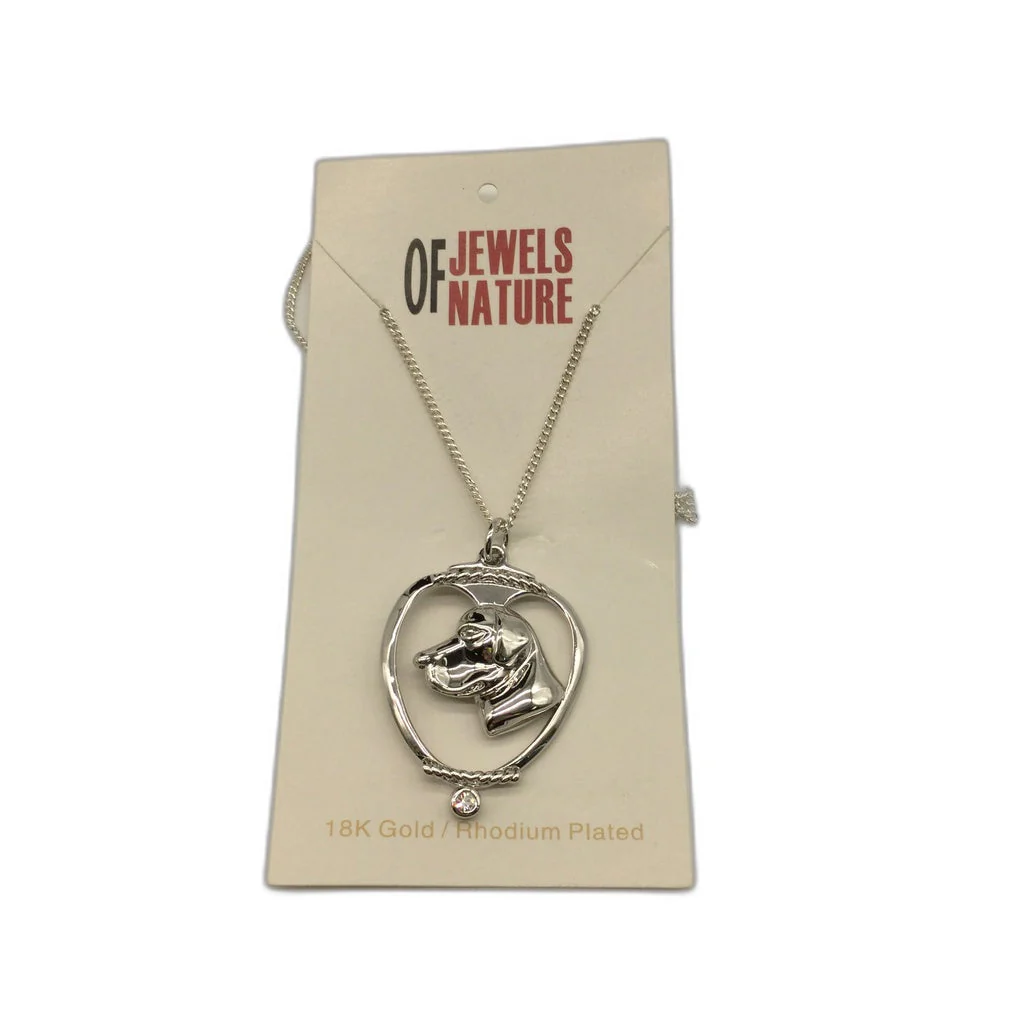 Deva Australia Jewels Of Nature 18K Rhodium Silver Plate Labrador Cz Pendant NEW - Image 5