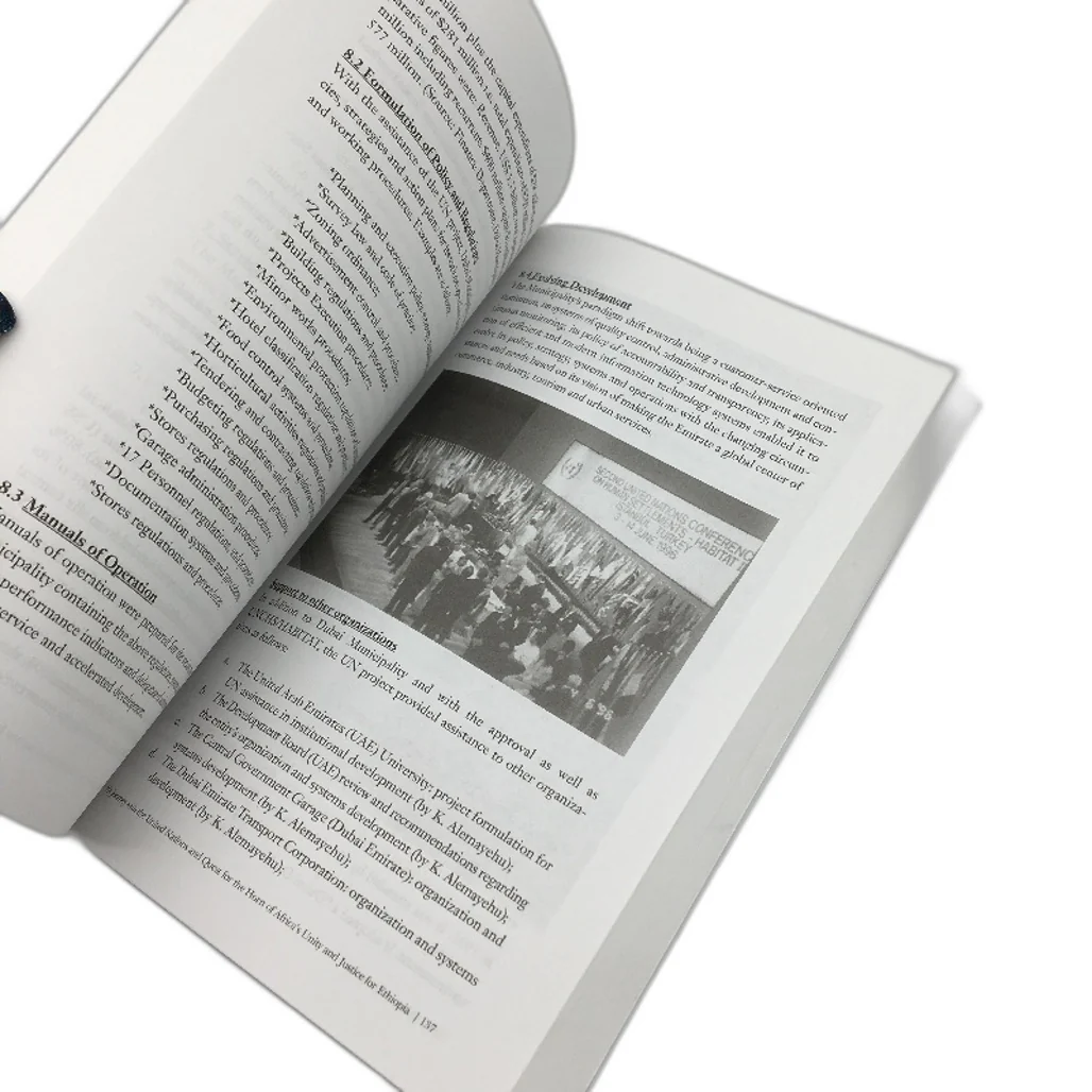 Quest for The Horn of Africa's Unity and Justice for Ethiopia by Kidane Alemayehu NEW - Image 4