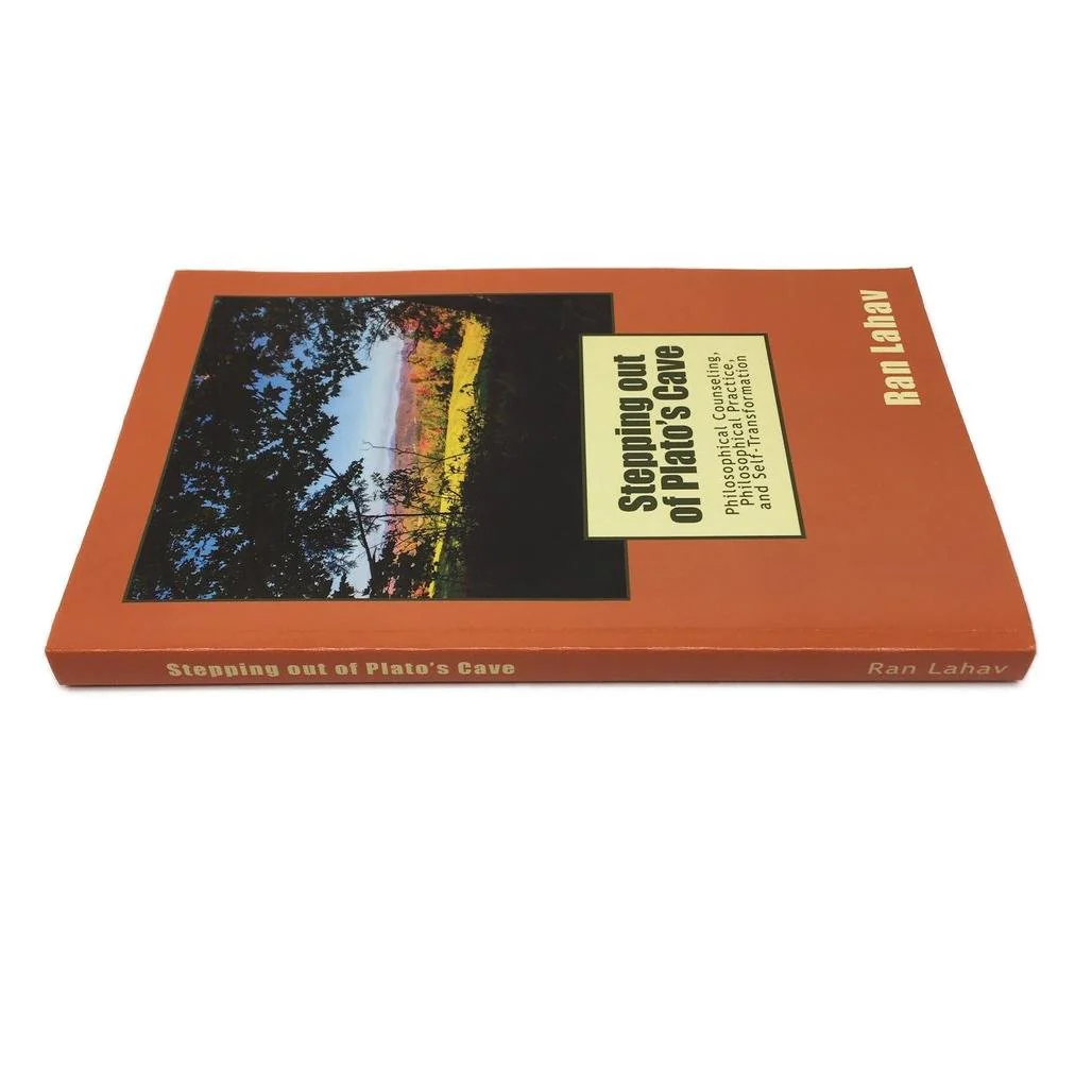 Stepping Out Of Plato's Cave -Philosophical Counselling by Ran Lahav Paperback NEW - Image 3