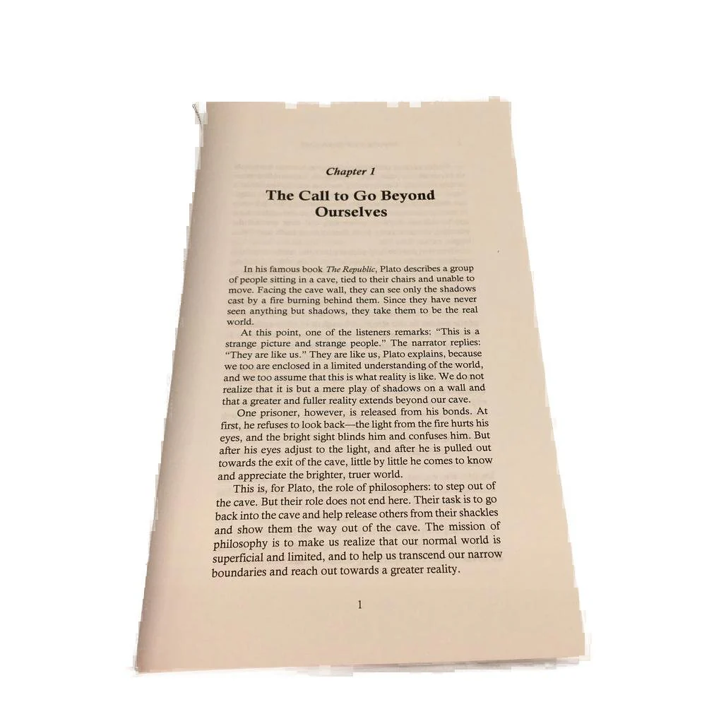 Stepping Out Of Plato's Cave -Philosophical Counselling by Ran Lahav Paperback NEW - Image 5