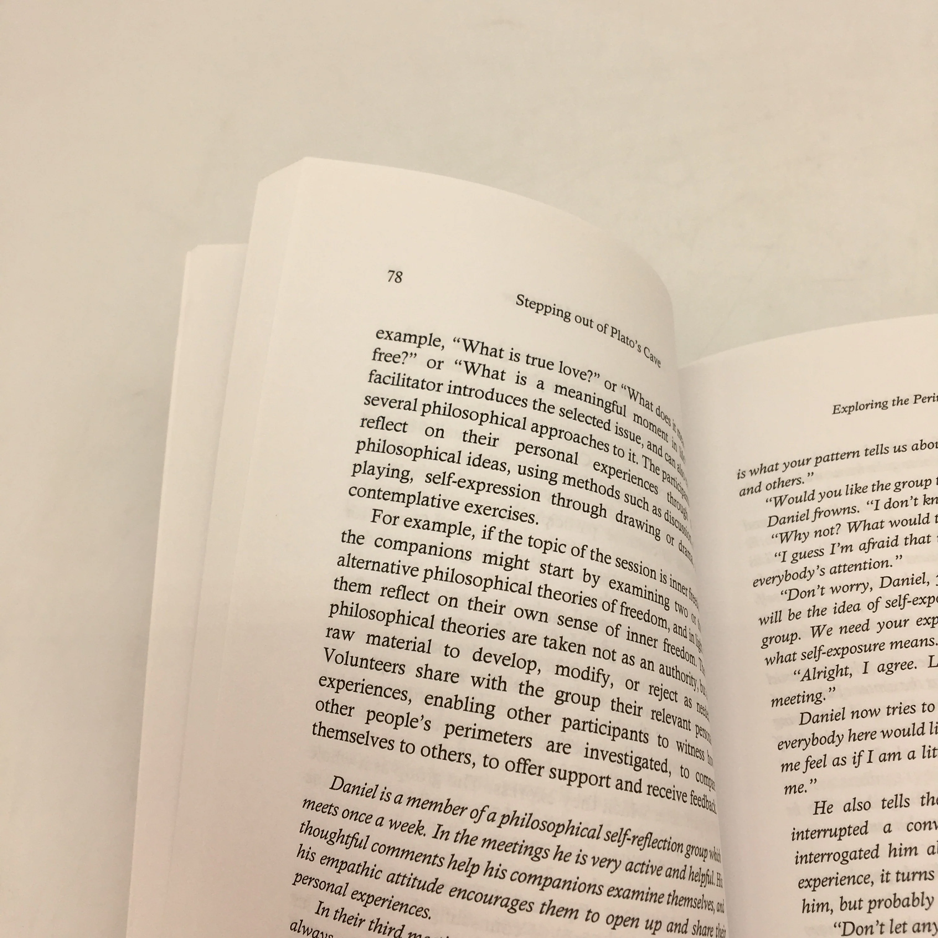 Stepping Out Of Plato's Cave -Philosophical Counselling by Ran Lahav Paperback NEW - Image 6