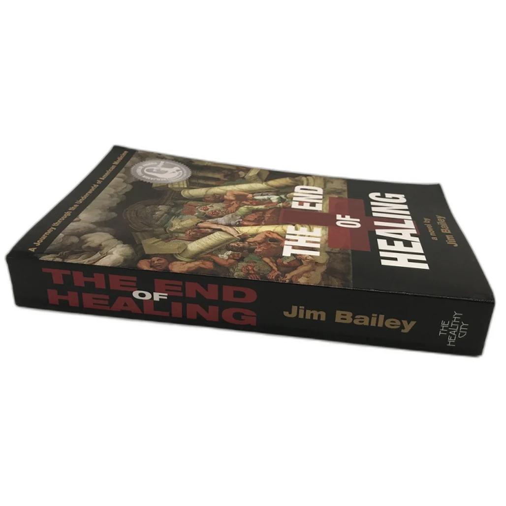 The End of Healing a novel by Jim Bailey Paperback NEW - Image 3