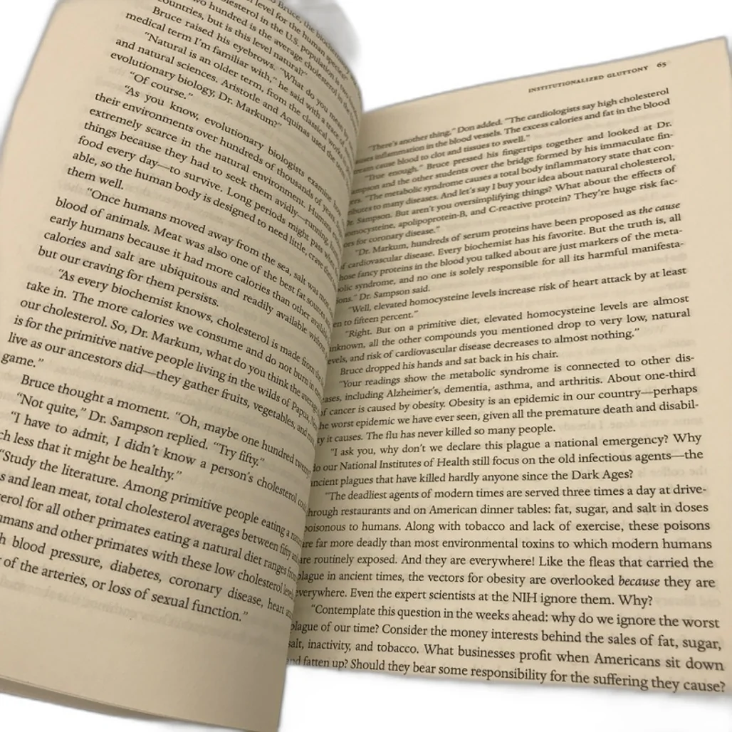 The End of Healing a novel by Jim Bailey Paperback NEW - Image 5